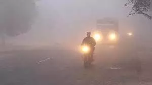 Punjab Weather: कंपकंपाती ठंड, 21 जनवरी तक यैलो अलर्ट जारी Punjab Weather: कंपकंपाती ठंड, 21 जनवरी तक यैलो अलर्ट जारी