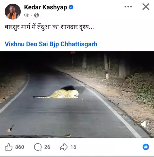 मंत्री ने सड़क में बैठे तेंदुआ का वीडियो किया पोस्ट, अफसरों ने बता दिया फेक मंत्री ने सड़क में बैठे तेंदुआ का वीडियो किया पोस्ट, अफसरों ने बता दिया फेक