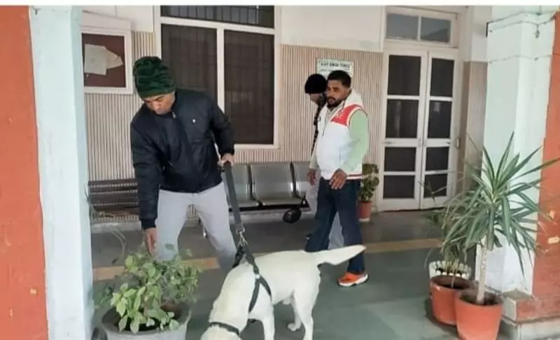 Ambala पुलिस स्टेशन में गैस सिलेंडर के साथ कार पार्क करने पर तीन लोग गिरफ्तार Ambala पुलिस स्टेशन में गैस सिलेंडर के साथ कार पार्क करने पर तीन लोग गिरफ्तार