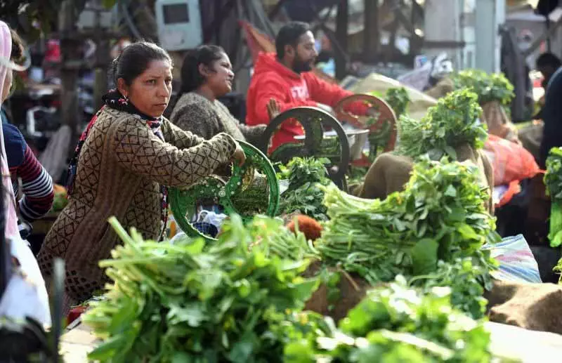 सरसों का साग, Punjab की सर्दियों की परंपरा जो स्वाद और दिल को तृप्त करती है सरसों का साग, Punjab की सर्दियों की परंपरा जो स्वाद और दिल को तृप्त करती है