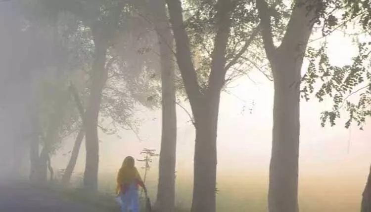 UBK में तापमान 0°C पर, सिमिलिपाल के आस-पास के इलाकों में शीत लहर से जनजीवन अस्त-व्यस्त UBK में तापमान 0°C पर, सिमिलिपाल के आस-पास के इलाकों में शीत लहर से जनजीवन अस्त-व्यस्त