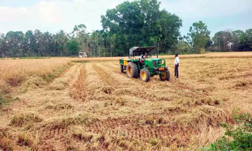 Rice cultivation ; क्लाइमेट चेंज से किसान संकट में Rice cultivation ; क्लाइमेट चेंज से किसान संकट में