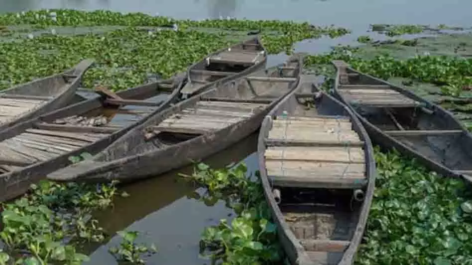 NGT ने गुवाहाटी में दीपोर बील को हुए पर्यावरणीय नुकसान का संज्ञान लिया NGT ने गुवाहाटी में दीपोर बील को हुए पर्यावरणीय नुकसान का संज्ञान लिया