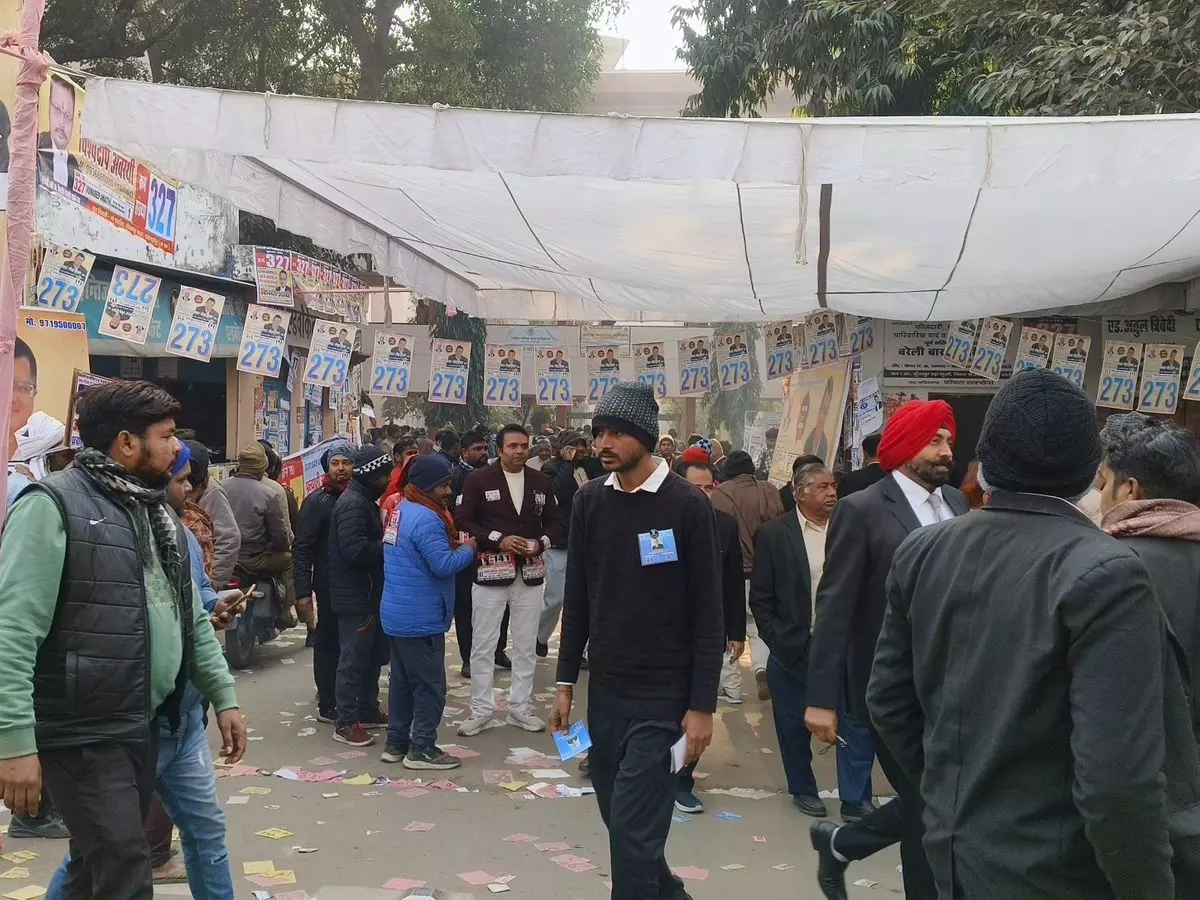 Bareilly: यूपी बार काउंसिल चुनाव में पहले दिन हुई 35% वोटिंग Bareilly: यूपी बार काउंसिल चुनाव में पहले दिन हुई 35% वोटिंग