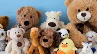 युवाओं में बढ़ा प्लश Toys का क्रेज युवाओं में बढ़ा प्लश Toys का क्रेज