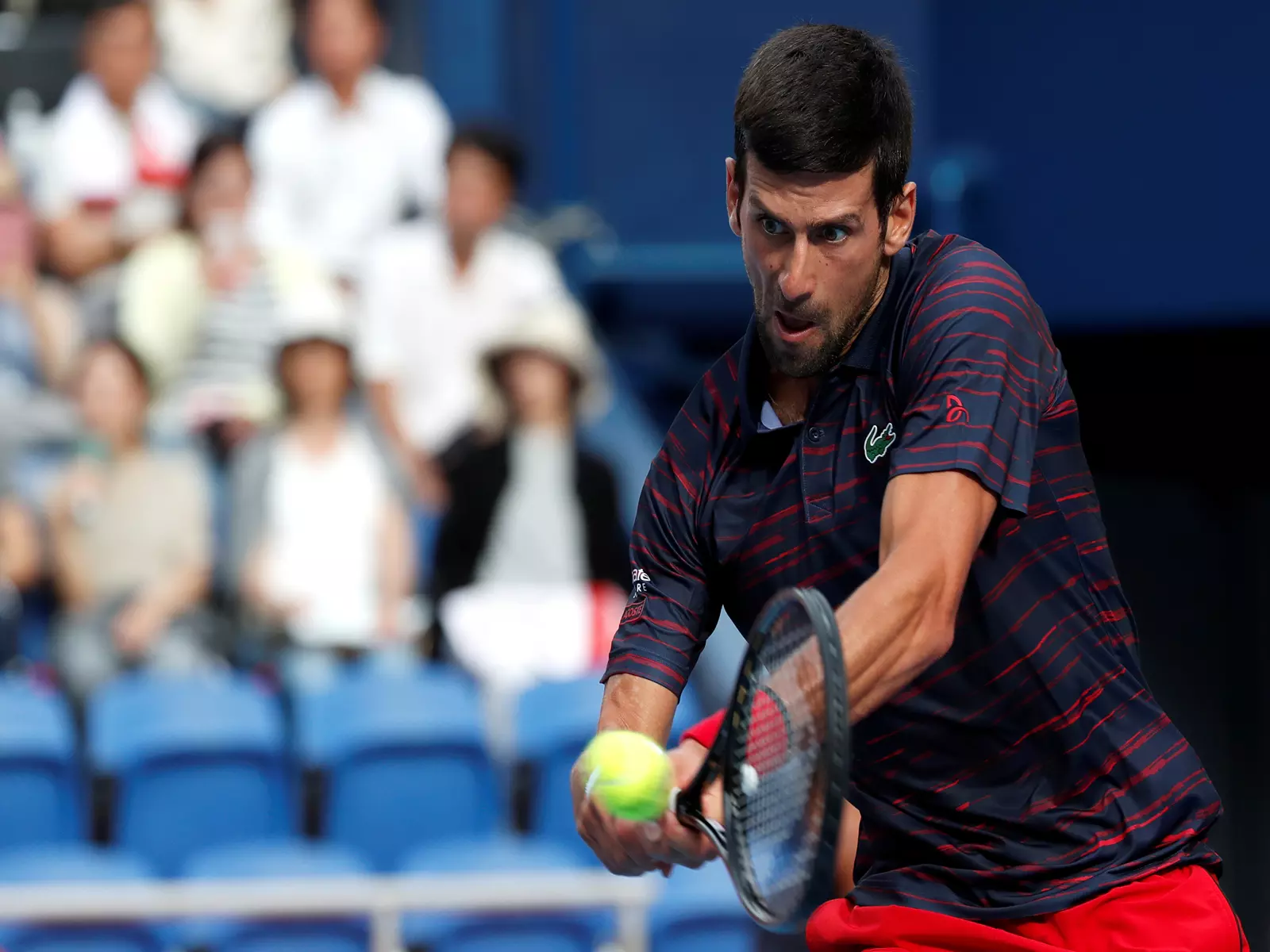 Djokovic: ऑस्ट्रेलियन ओपन से पहले पूरा आत्मविश्वास Djokovic: ऑस्ट्रेलियन ओपन से पहले पूरा आत्मविश्वास