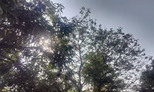 ठंड से राहत पर आई खबर, तापमान बढ़ने के आसार ठंड से राहत पर आई खबर, तापमान बढ़ने के आसार