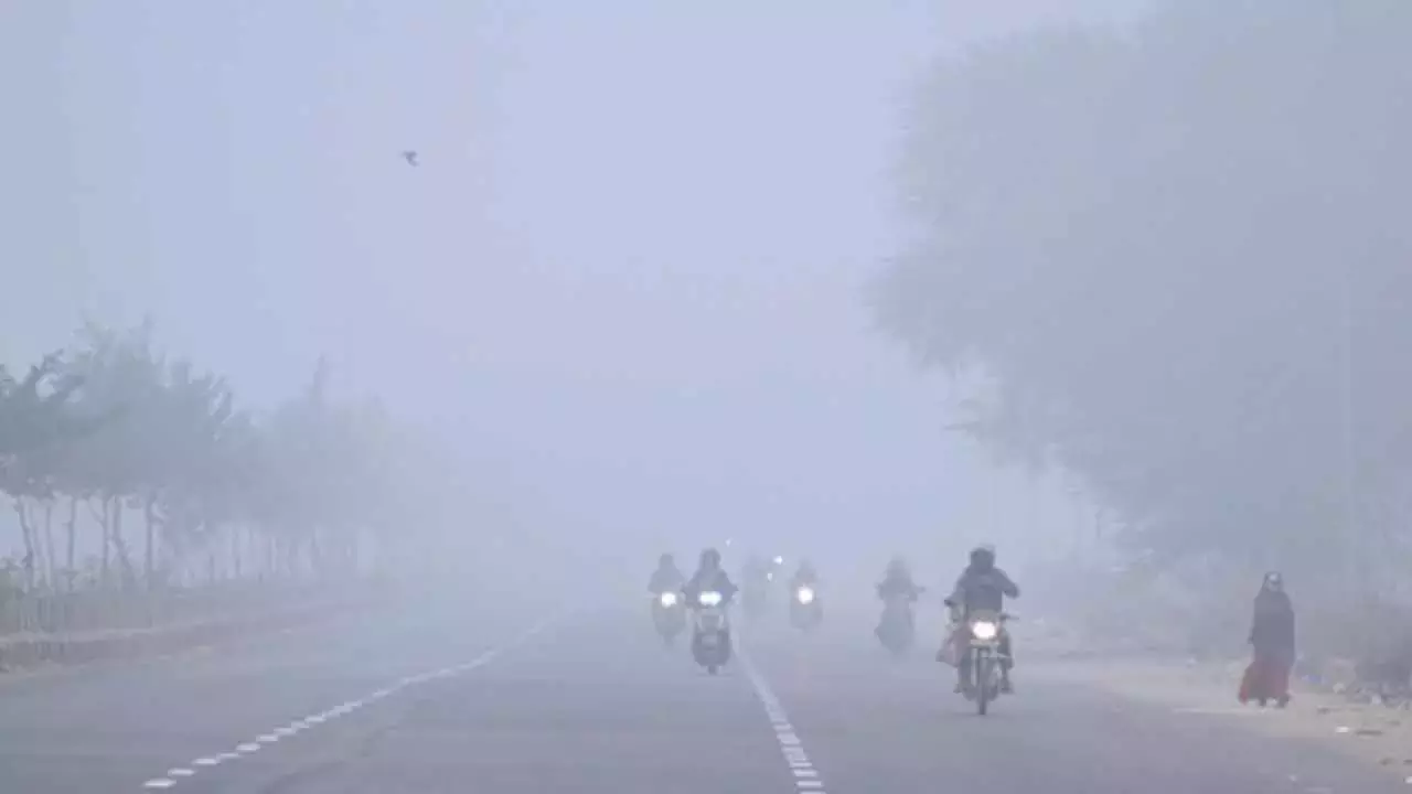 Andhra के कुछ हिस्सों में घने कोहरे का अलर्ट जारी किया गया है
