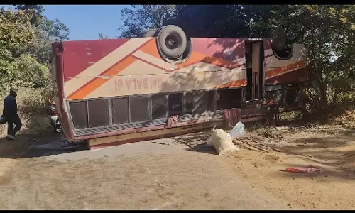 कुत्ते को बचाने के चक्कर में पलटी बस, कई लोग घायल