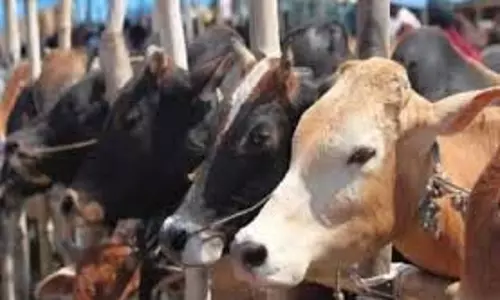 Jammu-Kashmir: पशुपालकों के लिए खतरे की घंटी, प्रशासन ने जारी की Advisory