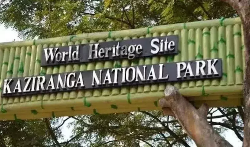 Kaziranga Corridor: वन्यजीवों की सुरक्षा और पर्यटन को मिलेगी नई दिशा Kaziranga Corridor: वन्यजीवों की सुरक्षा और पर्यटन को मिलेगी नई दिशा