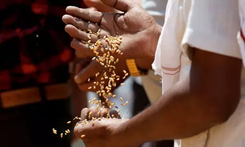 Haryana : आढ़तियों द्वारा किसानों को कच्ची पर्ची जारी करने के खिलाफ जनहित याचिका