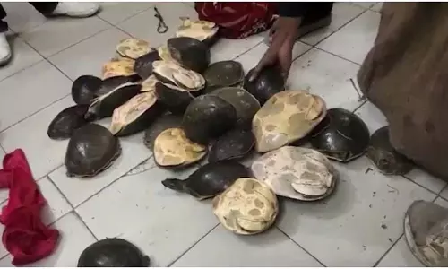 बाप रे! रेलवे स्टेशन पर ट्रेन के पहुंचते ही छापा पड़ा, फिर जो पता चला...