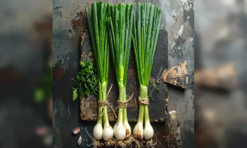 सर्दियों का सुपरफूड हरी प्याज, इम्युनिटी को देती है नई ऊर्जा