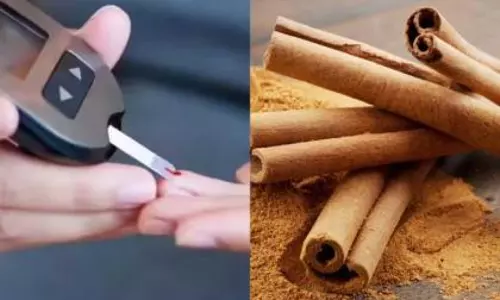 साधारण मसाला, बड़ी मदद: दालचीनी से डायबिटीज पर कंट्रोल साधारण मसाला, बड़ी मदद: दालचीनी से डायबिटीज पर कंट्रोल