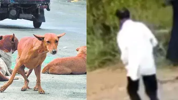 kerala:आवारा कुत्ते के हमले से इलाके में दहशत, दो लोग घायल kerala:आवारा कुत्ते के हमले से इलाके में दहशत, दो लोग घायल