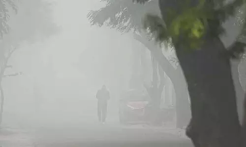 UP के अमेठी में कोहरे की वजह से पांच गाड़ियों की टक्कर में एक की मौत हो गई, तीन घायल