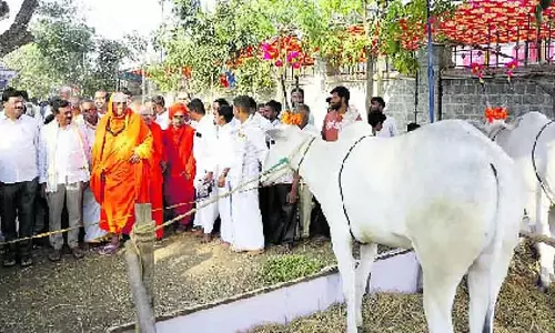 Nanjangud : पशु मेले में 200 मवेशियों ने हिस्सा लिया