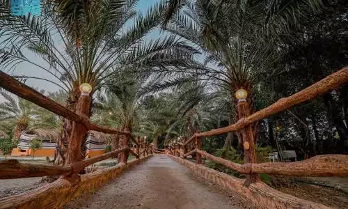 Saudi Arabia: बहा के टूरिस्ट फार्म बने पहली पसंद