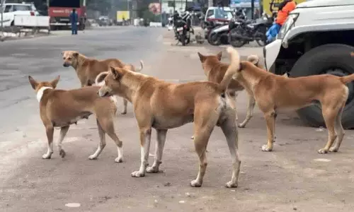 कुत्तों के काटने पर नियंत्रण, भुवनेश्वर में BMC ने मिशन रेबीज से हाथ मिलाया