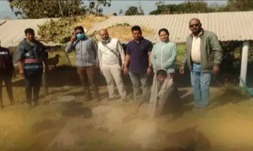 Ganjam में रहस्यमय जानवर का आतंक, बटागढ़ गांव के मवेशी मरे