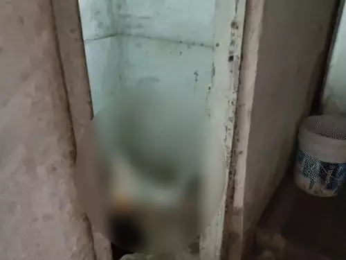 रायपुर : बाथरूम गई बच्ची सेप्टिक टैंक में गिरी, मौत रायपुर : बाथरूम गई बच्ची सेप्टिक टैंक में गिरी, मौत