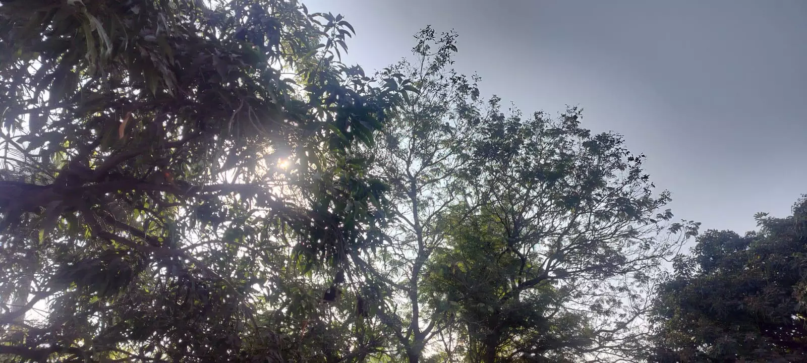 ठंड से राहत पर आई खबर, तापमान बढ़ने के आसार ठंड से राहत पर आई खबर, तापमान बढ़ने के आसार