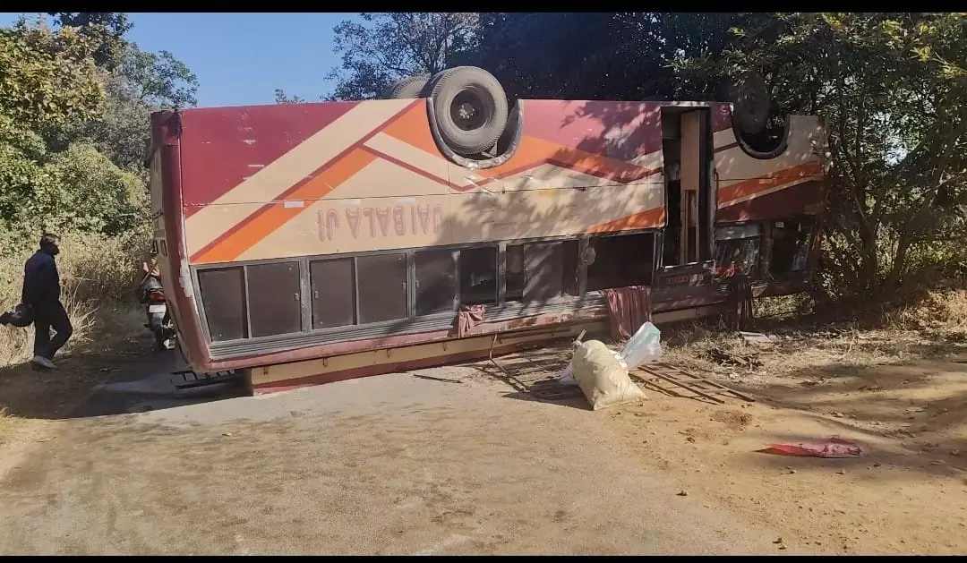 कुत्ते को बचाने के चक्कर में पलटी बस, कई लोग घायल कुत्ते को बचाने के चक्कर में पलटी बस, कई लोग घायल