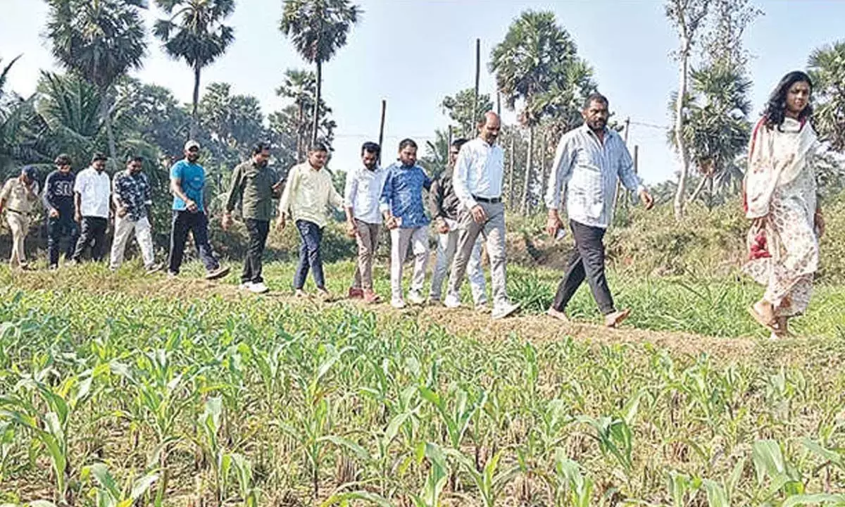 MP कालीसेट्टी स्मृतियों की गलियों में चलते हुए मेटावलासा स्कूल पहुंचे MP कालीसेट्टी स्मृतियों की गलियों में चलते हुए मेटावलासा स्कूल पहुंचे