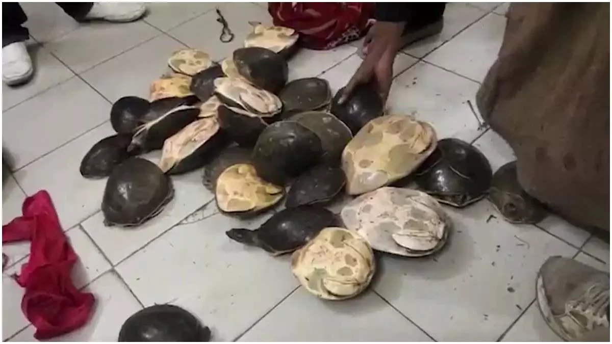 बाप रे! रेलवे स्टेशन पर ट्रेन के पहुंचते ही छापा पड़ा, फिर जो पता चला... बाप रे! रेलवे स्टेशन पर ट्रेन के पहुंचते ही छापा पड़ा, फिर जो पता चला...