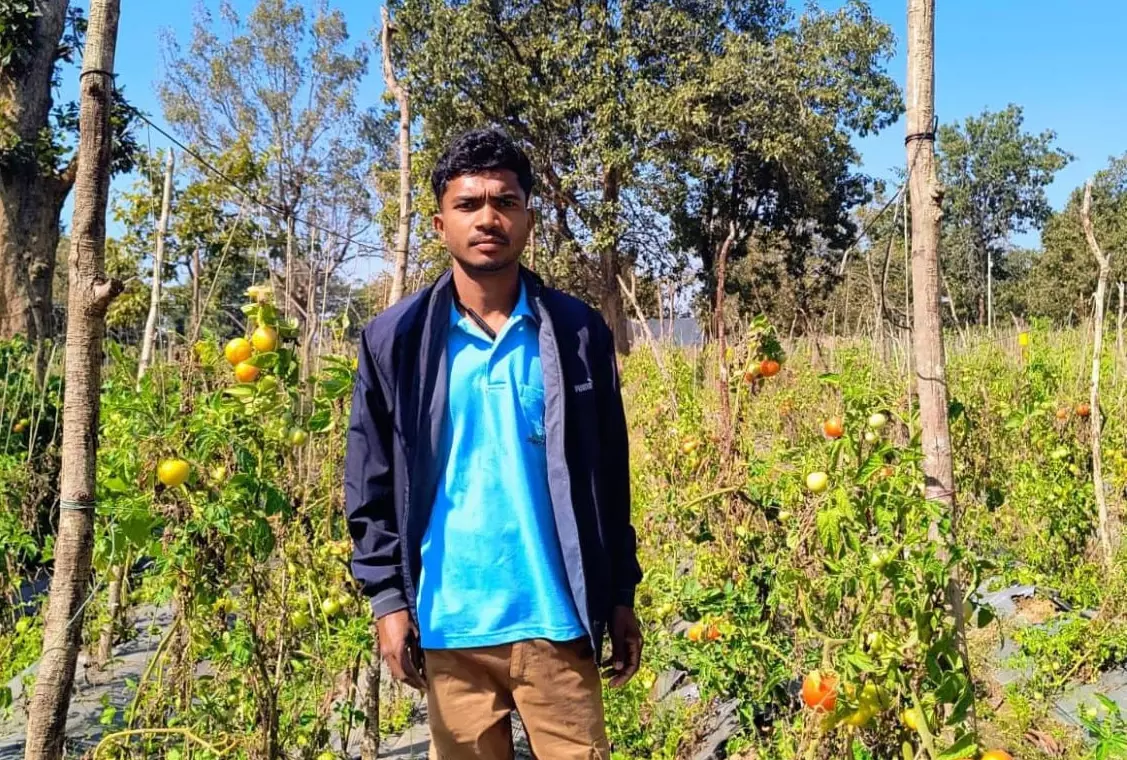 आधुनिक खेती से बदली तस्वीर, खेती में भविष्य तलाश रहे युवाओं के लिए बने प्रेरणा आधुनिक खेती से बदली तस्वीर, खेती में भविष्य तलाश रहे युवाओं के लिए बने प्रेरणा