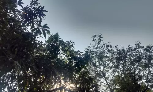 फिर कड़ाके की ठंड, तापमान में भारी गिरावट