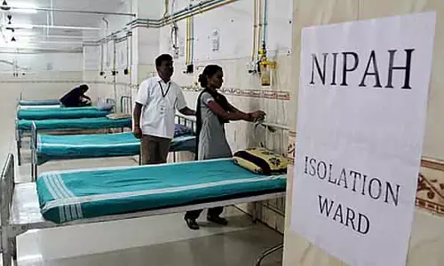 Nipah Infection : तमिलनाडु हेल्थ डिपार्टमेंट ने लोगों को पक्षियों के काटे हुए फलों से बचने की सलाह दी