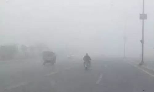 Haryana IMD Alert: ठंड का सितम जारी,  4 जिलों में कोहरे का यलो अलर्ट