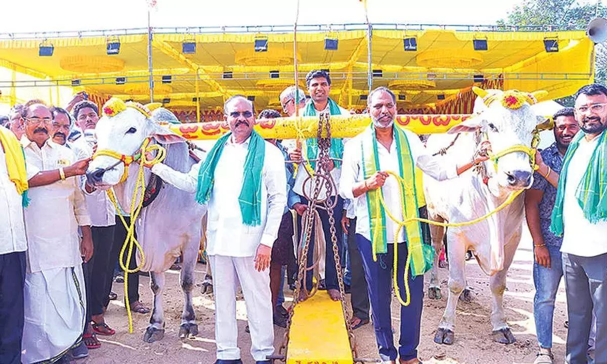 NTR ने तेलुगु स्वाभिमान को ग्लोबल लेवल पर पहुंचाया: मंत्री NTR ने तेलुगु स्वाभिमान को ग्लोबल लेवल पर पहुंचाया: मंत्री