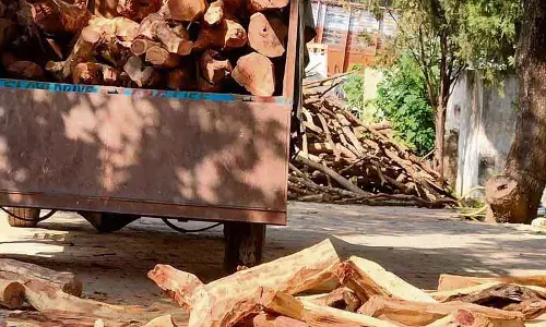 Yamunanagar में 460 अवैध खैर की लकड़ियों के साथ पंजाब जा रहा ट्रक जब्त Yamunanagar में 460 अवैध खैर की लकड़ियों के साथ पंजाब जा रहा ट्रक जब्त
