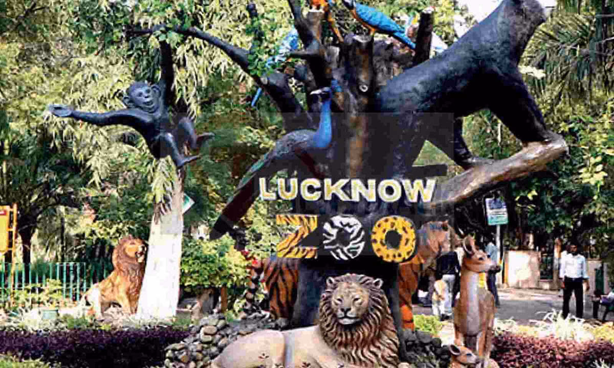 Lucknow: बच्चों के लिए चिड़ियाघर में जन्मदिन पार्टी की नई सुविधा Lucknow: बच्चों के लिए चिड़ियाघर में जन्मदिन पार्टी की नई सुविधा