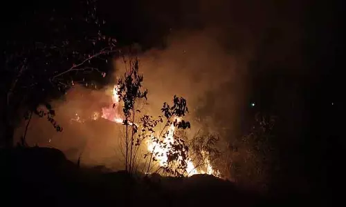 Bangalore-मैसूर हाईवे के किनारे जंगल में आग लग गई