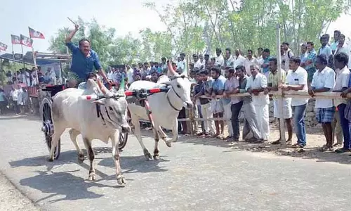 Tamil Nadu: वरदान या अभिशाप, रेक्ला रेस में बाहरी बैलों की बढ़ती मौजूदगी Tamil Nadu: वरदान या अभिशाप, रेक्ला रेस में बाहरी बैलों की बढ़ती मौजूदगी