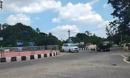 Karnataka : नगर परिषद की लापरवाही के कारण पायलट सर्किल आवारा पशुओं का अड्डा बन गया Karnataka : नगर परिषद की लापरवाही के कारण पायलट सर्किल आवारा पशुओं का अड्डा बन गया
