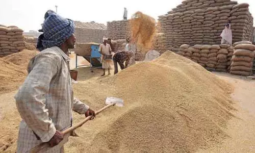 Odisha सरकार धान खरीदेगी, केंद्र 8 लाख टन उठाने पर सहमत
