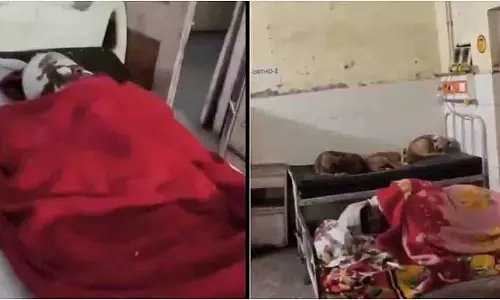 UP अस्पताल में अव्यवस्था: मरीजों के बेड पर घूमते कुत्ते और चूहे