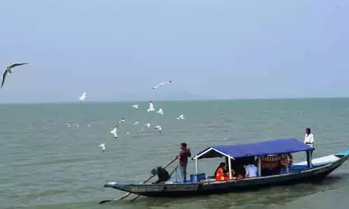 Chilika Lake में 196 प्रजातियों के 11.32 लाख से ज़्यादा पक्षियों की गिनती की गई