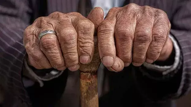 Kerala: बस हादसे में बुज़ुर्ग महिला घायल, स्टाफ़ की लापरवाही सामने आई Kerala: बस हादसे में बुज़ुर्ग महिला घायल, स्टाफ़ की लापरवाही सामने आई