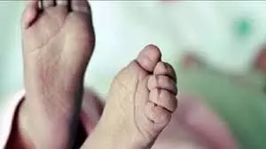 Up News: खेलते समय बच्चे की दर्दनाक मौत,परिवार में कोहराम Up News: खेलते समय बच्चे की दर्दनाक मौत,परिवार में कोहराम