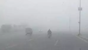 Haryana IMD Alert: ठंड का सितम जारी, 4 जिलों में कोहरे का यलो अलर्ट Haryana IMD Alert: ठंड का सितम जारी, 4 जिलों में कोहरे का यलो अलर्ट