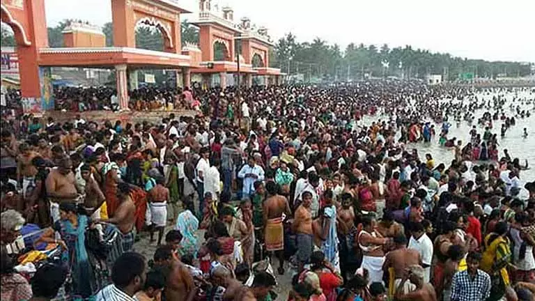 Thai Amavasya: भक्तों ने पूर्वजों को श्रद्धांजलि दी Thai Amavasya: भक्तों ने पूर्वजों को श्रद्धांजलि दी