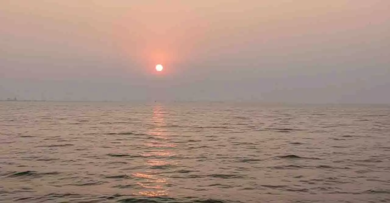Chilika में कल से तीन दिवसीय डॉल्फिन जनगणना शुरू होगी Chilika में कल से तीन दिवसीय डॉल्फिन जनगणना शुरू होगी