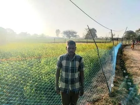 कृषक बलदेव राजवाड़े को प्रधानमंत्री धन धान्य कृषि योजना का मिला लाभ कृषक बलदेव राजवाड़े को प्रधानमंत्री धन धान्य कृषि योजना का मिला लाभ