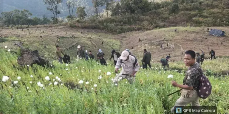 Manipur: सुरक्षा बलों ने चुराचांदपुर में 22 एकड़ अफीम के खेत नष्ट किए Manipur: सुरक्षा बलों ने चुराचांदपुर में 22 एकड़ अफीम के खेत नष्ट किए